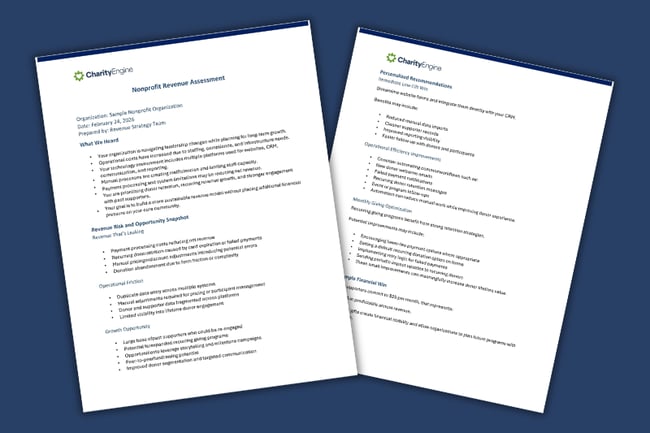 Nonprofit Assessment (2)