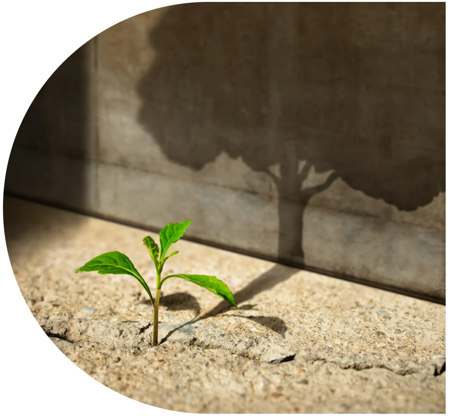 growing-nonprofits-square